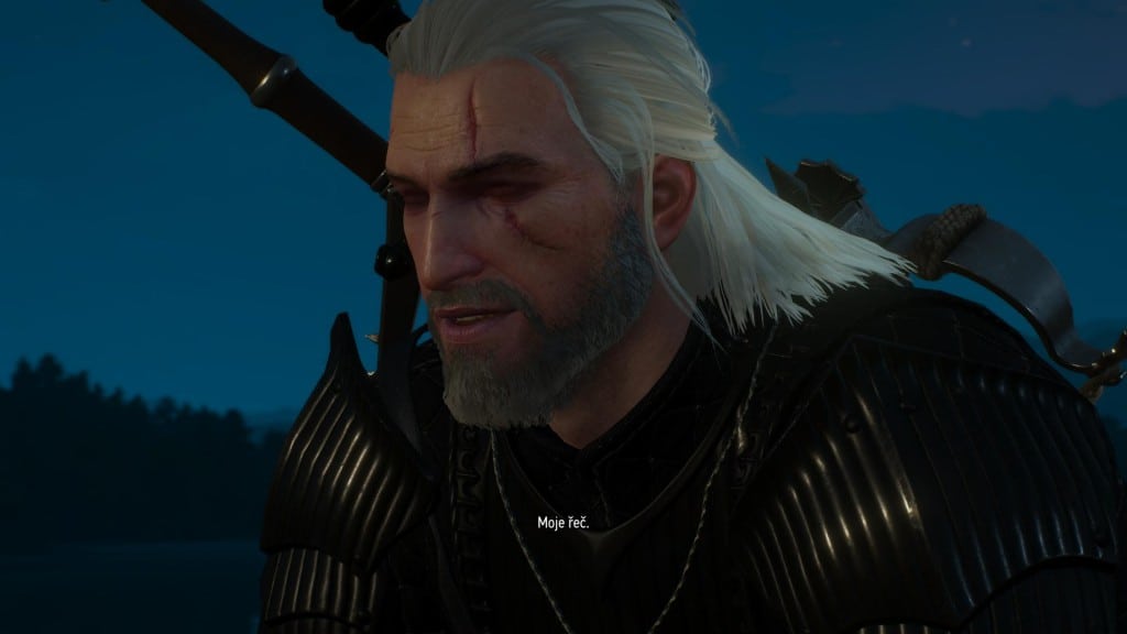 witcher3 2016-06-06 00-39-04-13