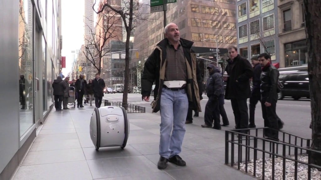 Gita robot belt