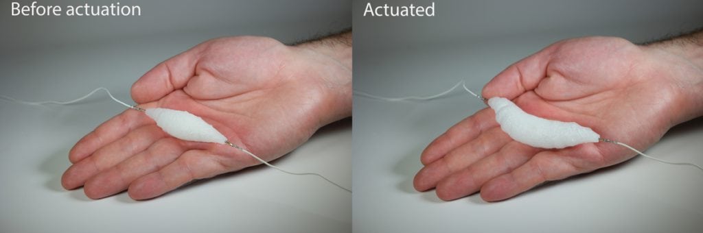 Muscle-on-hand