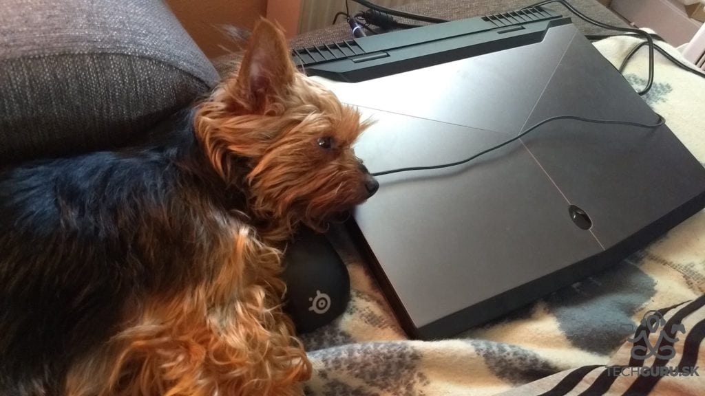 Tinka testuje Alienware