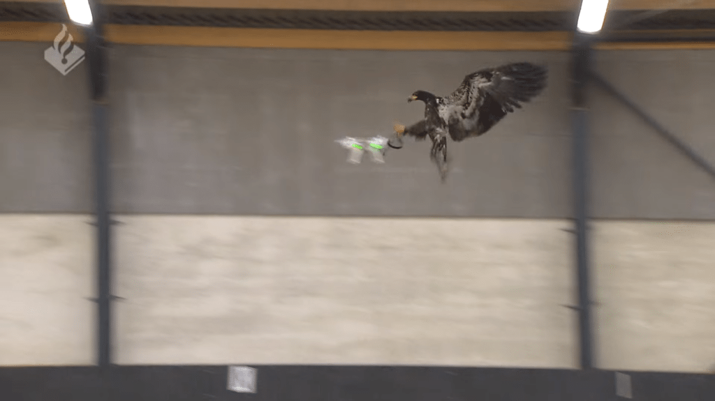 orly na lov dronov