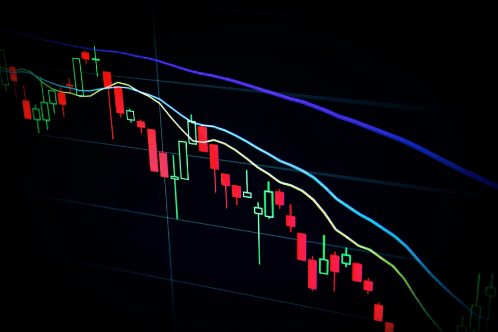 Bull market