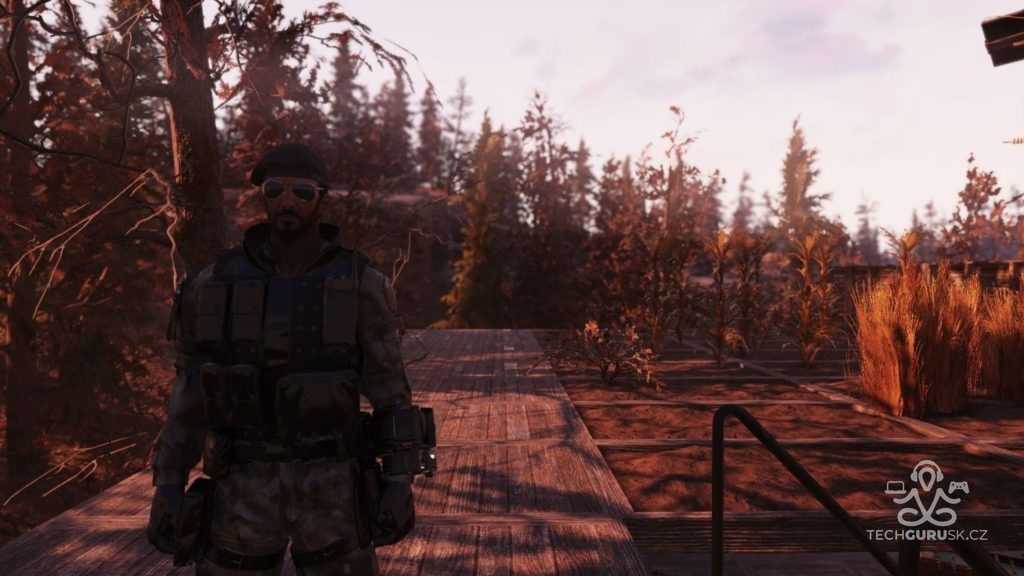 Fallout 66