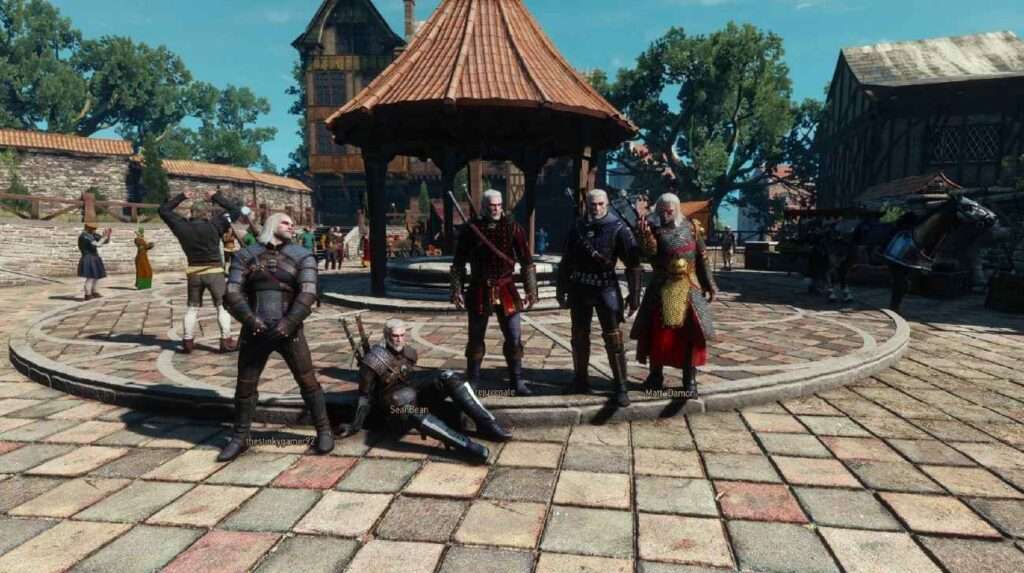 Witcher online mod.